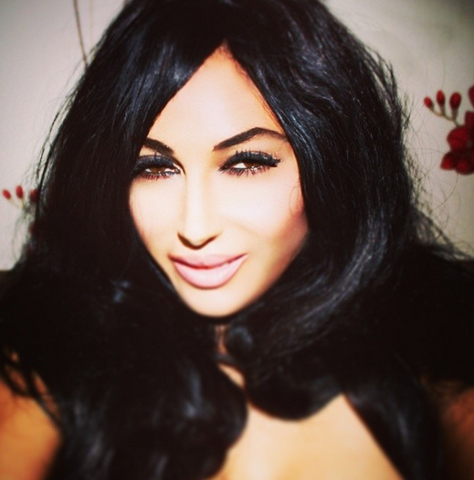 fan kardashian
