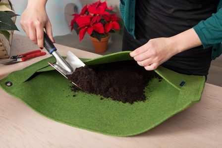 2014-weihnachtssterne-vertical-garden-step2