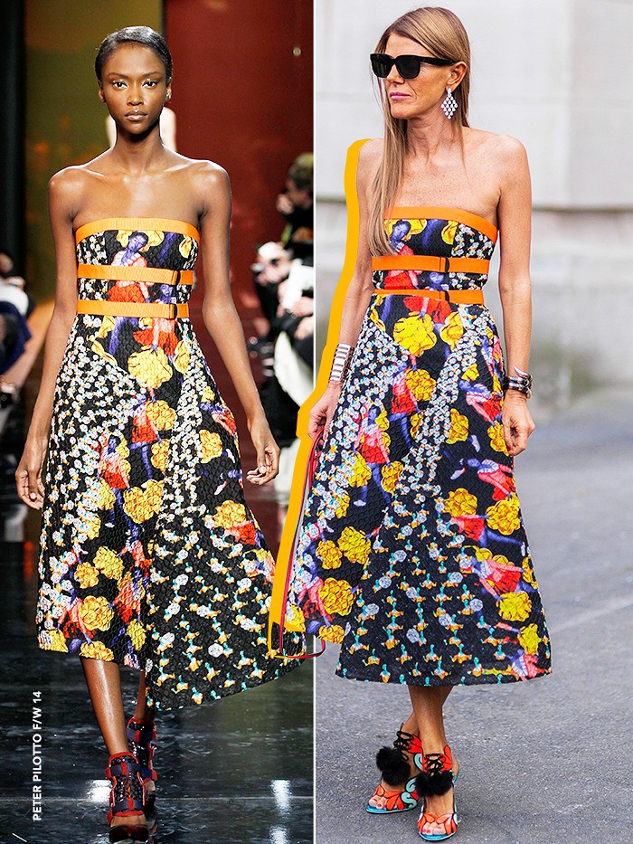 3 peter pilotto