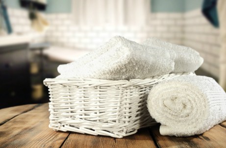 thehomeissue_petsetes01.jpg