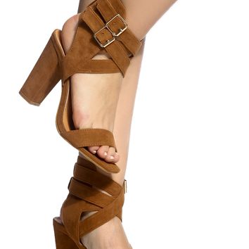 camel4.jpg