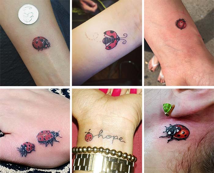 tiny tattoos ideas with meanings tiny ladybug tattoos