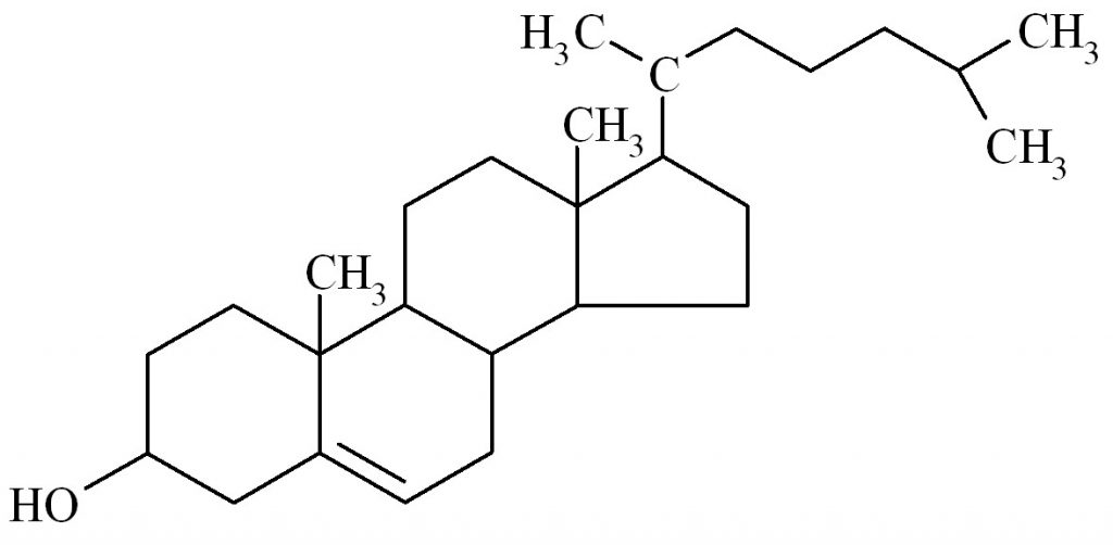cholesterol