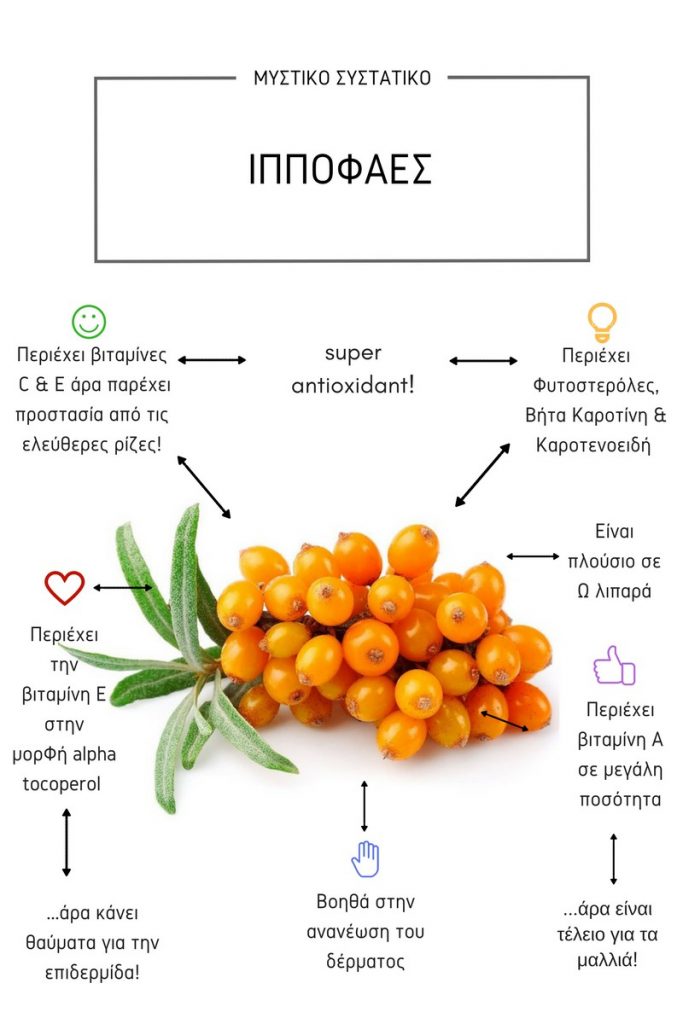 ippofaes info