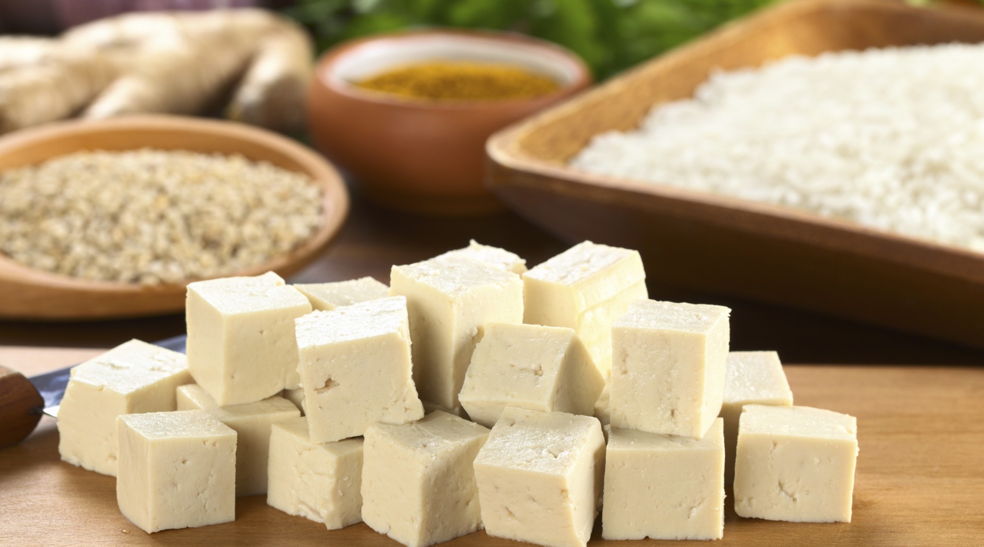 tofu_1