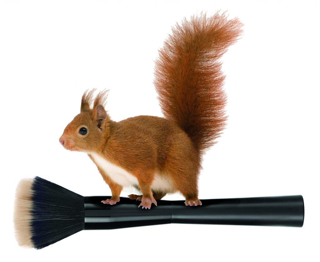 10 SourceFile_1041705 FOUNDATION BRUSH_HR_INROSPS034_NEW_trans_50pc