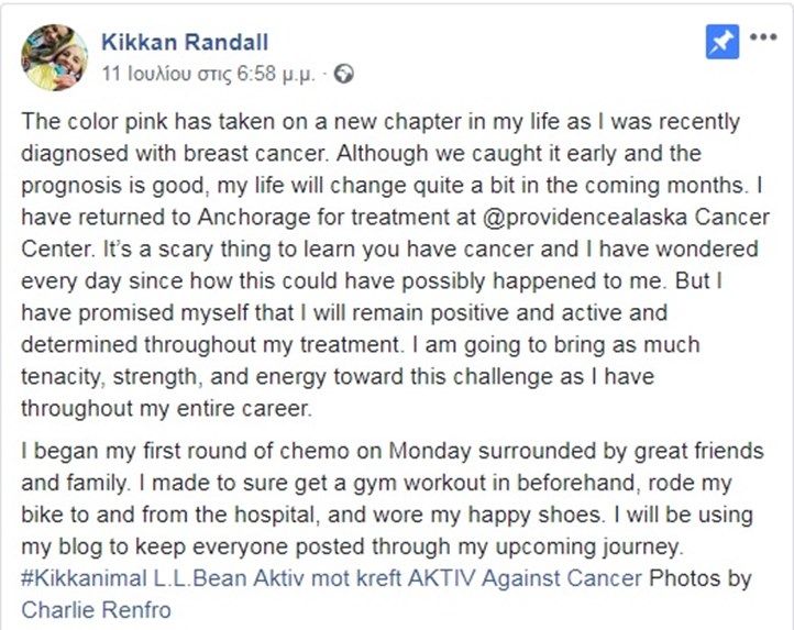 kikka_status