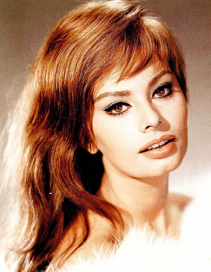 sofia loren