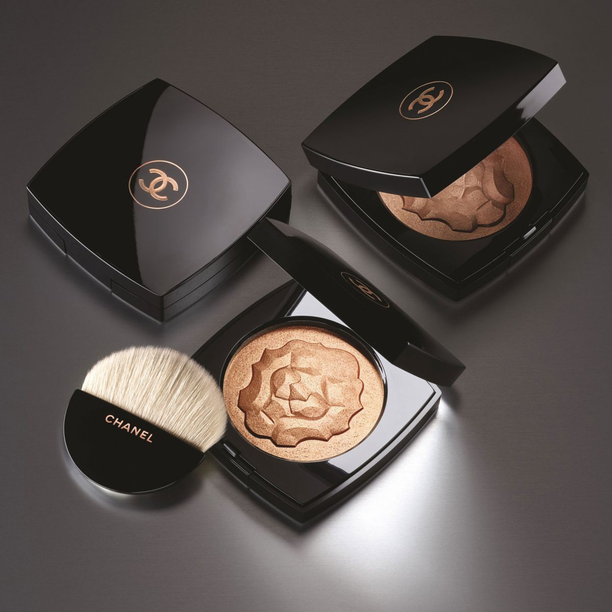 Chanel Le Lion de Chanel