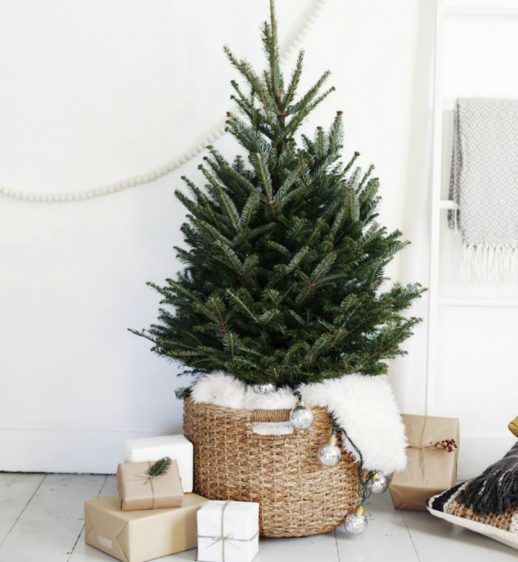 thehomeissue_dentro01-1-518x562