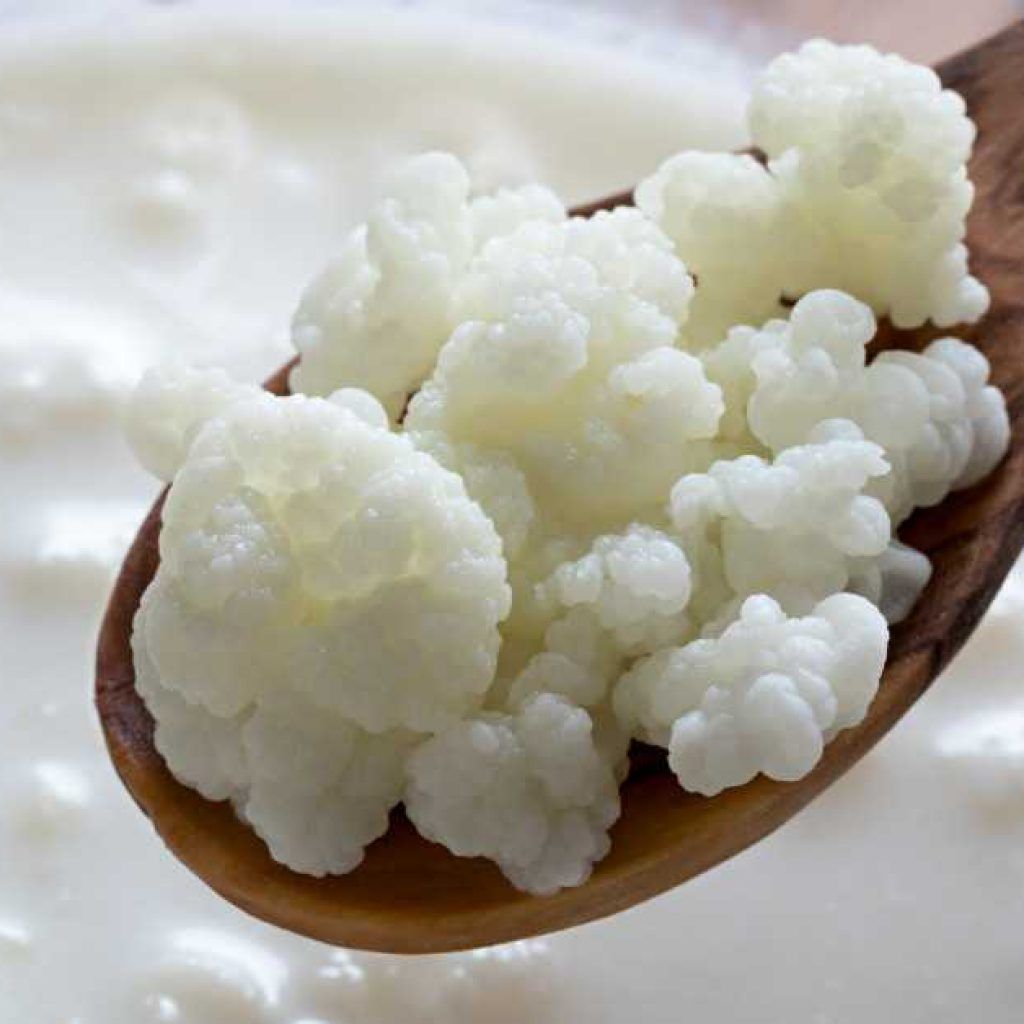 Kefir-1024x1024